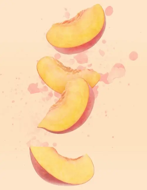 apricot-front
