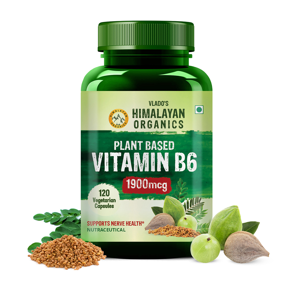 Plant-Based Vitamin B6 | Supports Immunity, Brain Health (120 Capsules)