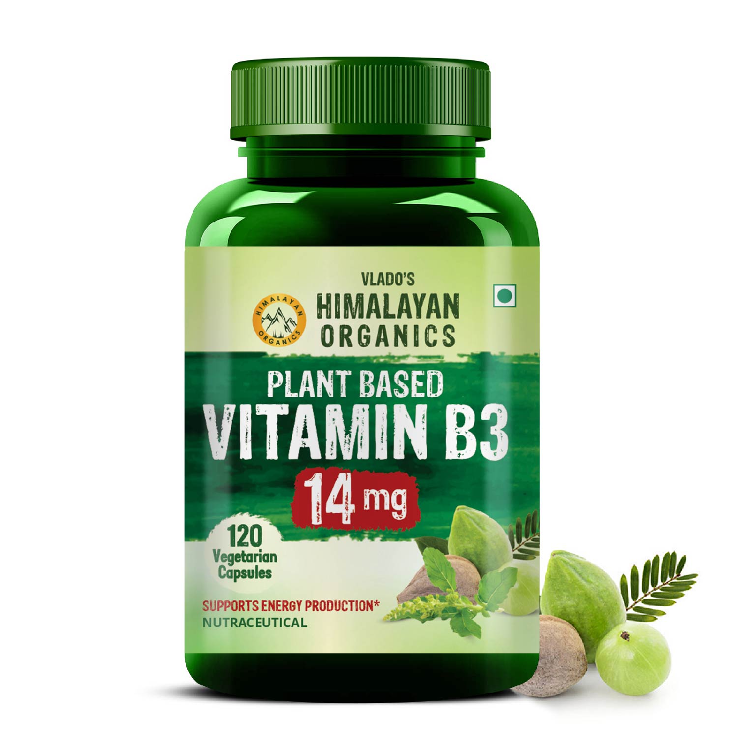Plant-Based Vitamin B3 | Supports Healthy Skin and Heart 120 Capsules