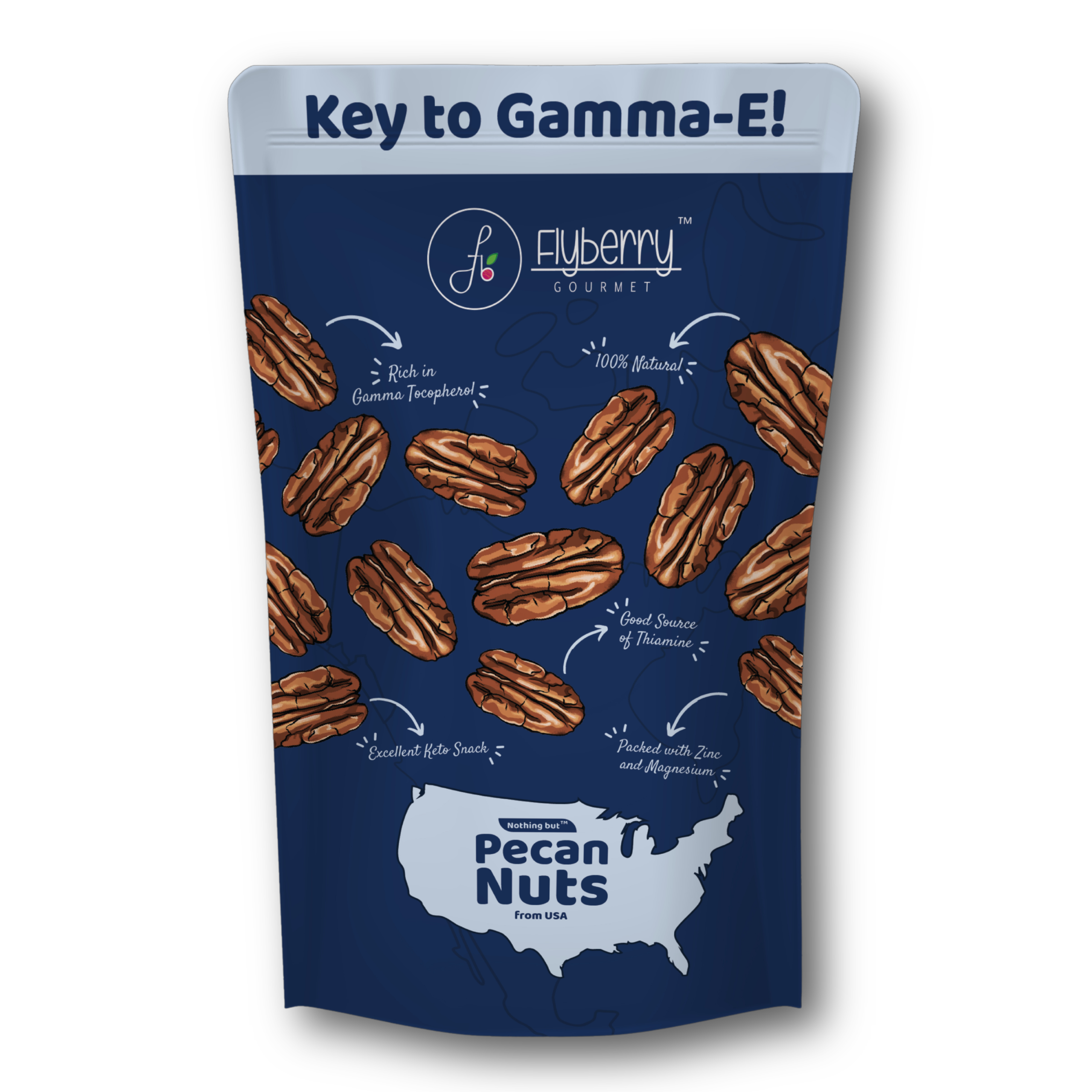 Pecan Nuts 100g | Imported From US | 100 Natural | Rich in Vitamin E, Zinc and Magnesium