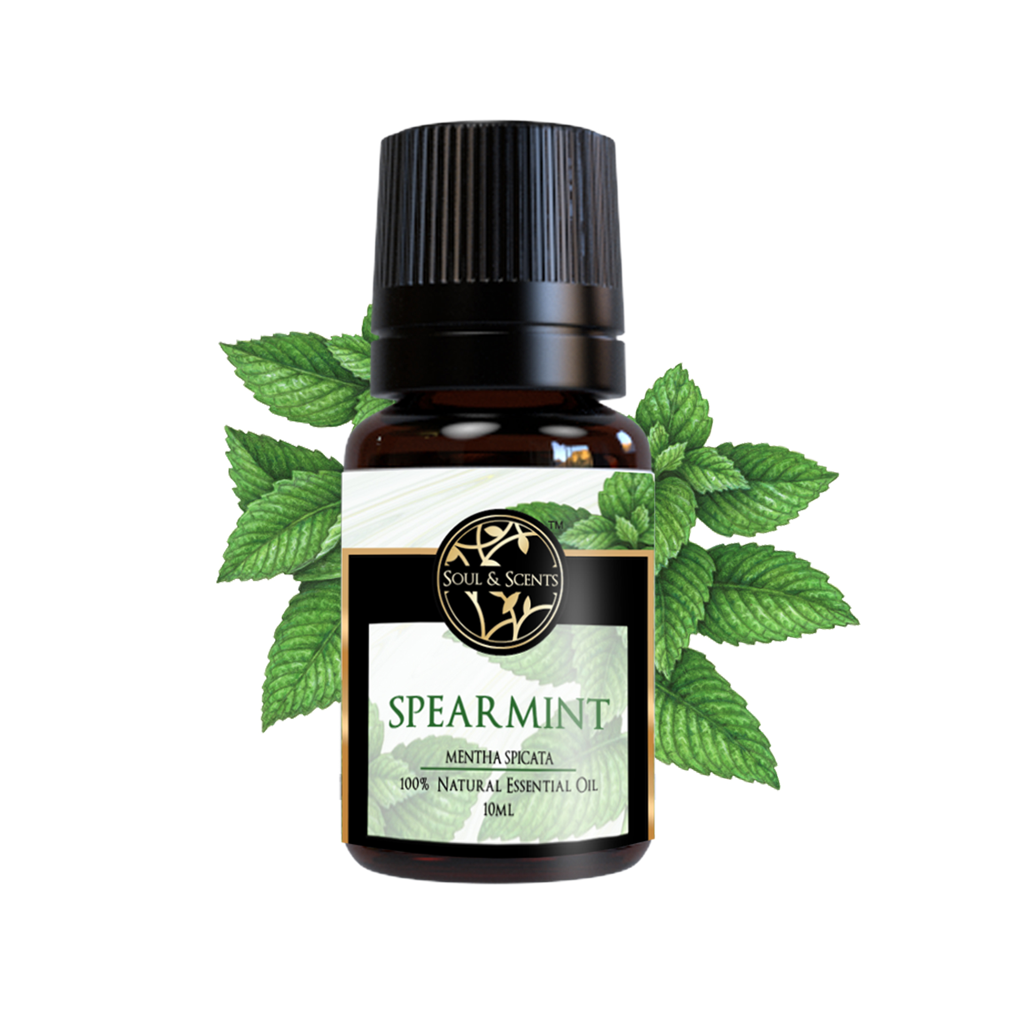 Around The Body Home Essentials Home Fragrance Essential Oils