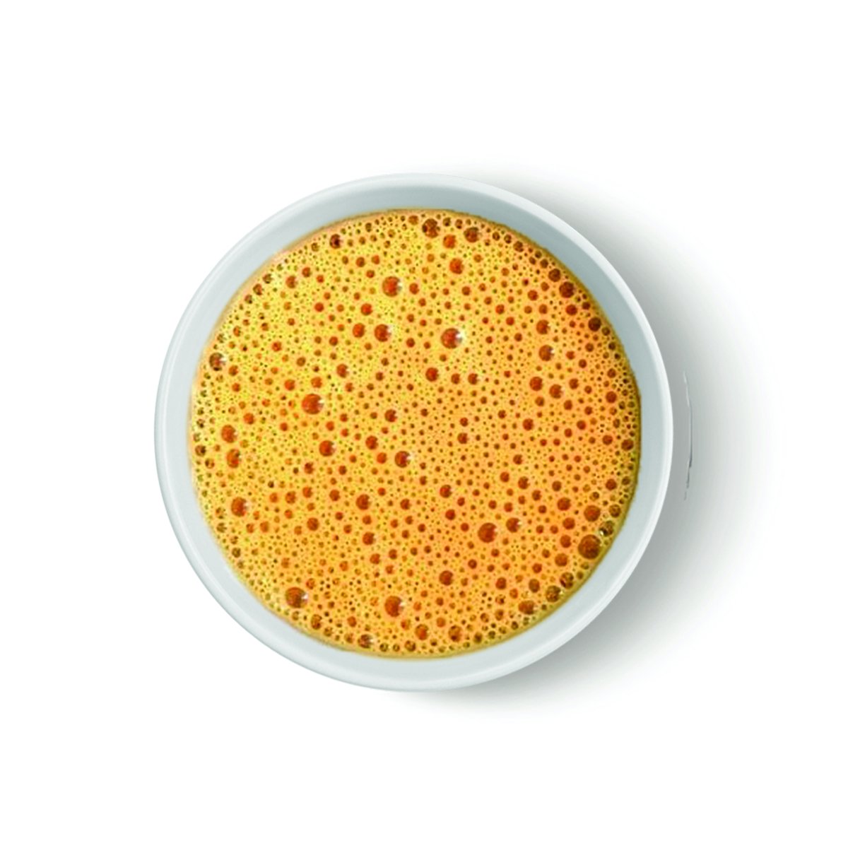 TGL Co. Signature South Indian Filter Instant Coffee Powder 100gm