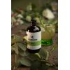 Bhu: Fermented Green Tea - Electric: Chilli & Lime 250ml (Pack of 1)