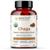 Rooted Active Naturals: Siberian Chaga mushroom Extract (90 Caps, 500 mg) |Blood Sugar, Heart & Immunity. USDA Organic, 35% Beta Glucans