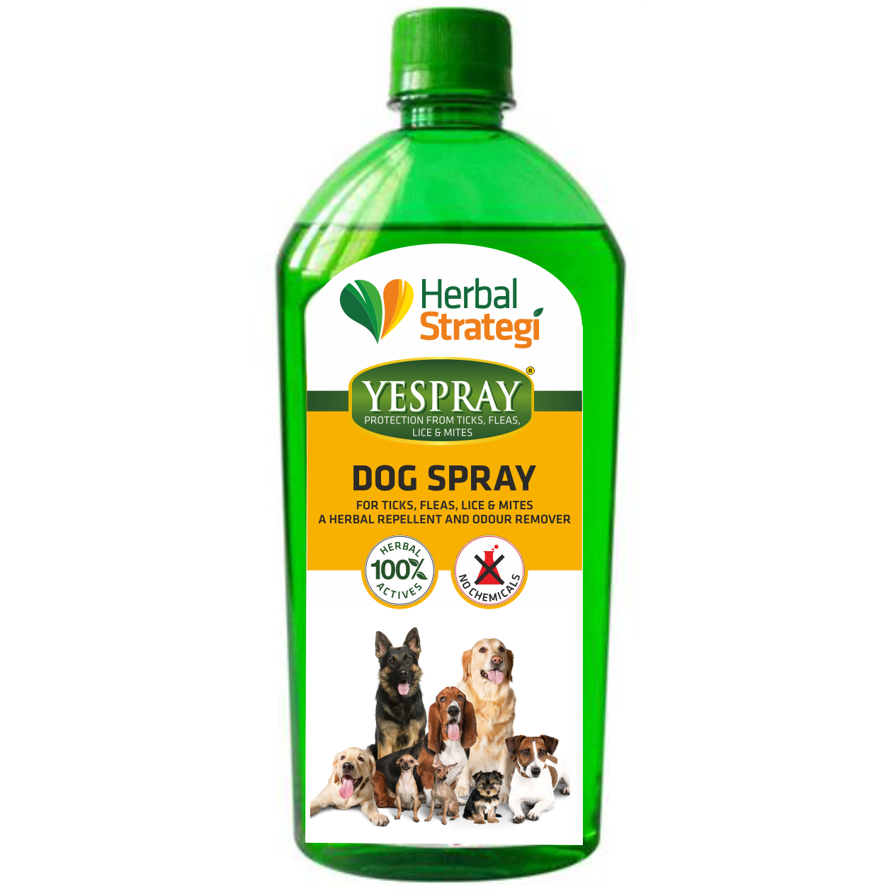 Dog lice spray clearance