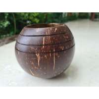 Thenga: Coconut Shell 3 Line Planter