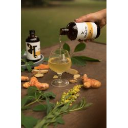 Bhu: Fermented Green Tea - Heal: Turmeric & Ginger 250ml (Pack of 1)