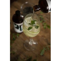 Bhu: Fermented Green Tea - Fresh: Cucumber & Mint 250ml (Pack of 1)
