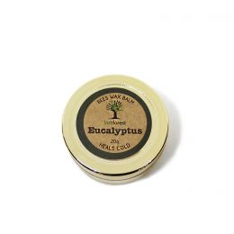 Last Forest: Eucalyptus Balm for Cold and Clogged Nose - 20gm