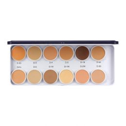 C2P Pro: Pro Cover & Conceal Derma Base Palette - 28gm