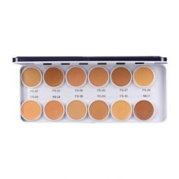 C2P Pro: Pro Cover & Conceal Supra Base Palette - 28gm