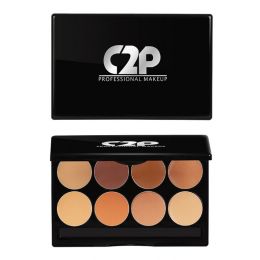 C2P Pro: Pro Basic Kit Concealer - 13gm