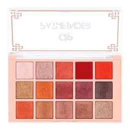 C2P Pro: Pro Pathfinder 15 Color Eye Shadow Palette  Cherry Fuzz 04