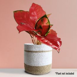 Greenkin: Eco-Friendly Paper White Noble Jute Planter - 6 inches