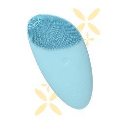 Caresmith: Battery Powered Sonic Massager Brush For Facial Cleansing - Blue Arctic