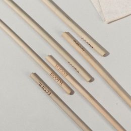 Ecotyl: Bamboo Straws with Cleaning Brush | Set of 6 | Reusable Straws 
