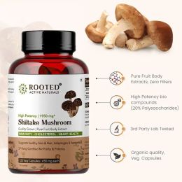 Rooted Active Naturals: Shiitake Mushroom 60 Capsules 650 mg | Supports Healthy Cholesterol & Helps BP Levels |Immunity, Heart, Skin & Hair Health & Weight Control
