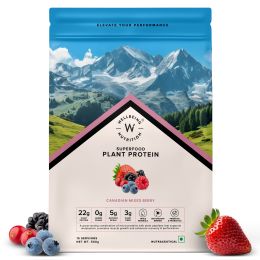 Wellbeing Nutrition: Organic Vegan Plant Protein Isolate Powder  22g Protein, 5g BCAA  No Bloating  Easy to Digest  Antioxidants & Trace Minerals  Canadian Mixed Berry - 500gm
