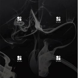 Cokodive: BTS- 2ND FULL ALBUM WINGSRandom