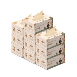 Amwoodo: Bamboo Facial Tissue | Soft & Highly Absorbent | 2-Ply | 100 Pulls Per Pack | Pack of 10