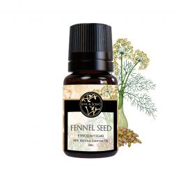 Soul & Scents: Fennel Seed Essential Oil 10ml