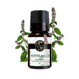 Soul & Scents: Peppermint Essential Oil 10ml