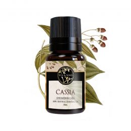 Soul & Scents: Cassia Essential Oil 10ml
