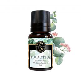 Soul & Scents: Eucalyptus Essential Oil 10ml