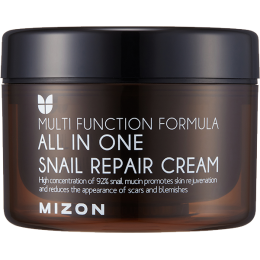 Mizon: All in One Snail Repair Cream - 75 ml