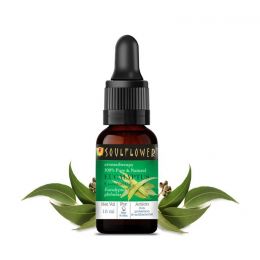 Soulflower: Soulflower Essential Oil Eucalyptus - 15 ml