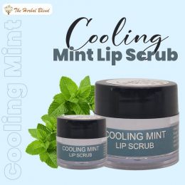 The Herbal Blend: Cooling Mint Lip Scrub - 5gm