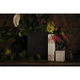 Sadhev: Empress Nur Jahan's Beauty Secret