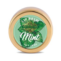 The Paradise Tree: Mint Lip Balm - 5gm
