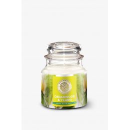 House of Aroma: Cerdarwood & Ylang Scented Candle for Aromatherapy - 100gm