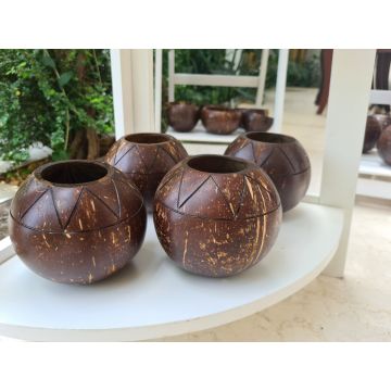 Thenga: Coconut Shell Zig Zag Planter