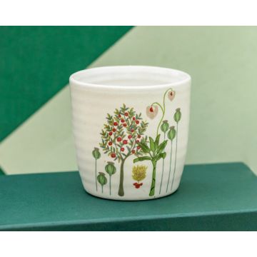 Sukoon: Bagh Cups - Set of 2