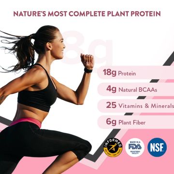 Wellbeing Nutrition: Her Superfood Plant Protein - Chocolate Peanut Butter - 500gm