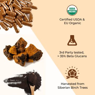 Rooted Active Naturals: Siberian Chaga mushroom Extract  (60 Caps, 500 mg) |Blood Sugar, Heart & Immunity. USDA Organic, 35% Beta Glucans