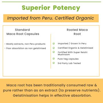 Rooted Active Naturals: Maca Root Extract with Reishi Mushroom (90 Veg Caps, 750 mg) -Stamina, Virility, Hormonal support| Imported from Peru, Certified Organic, Gelatinised