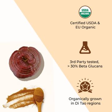 Rooted Active Naturals: Oyster Mushroom Extract Powder | Supports Immunity, Cardio Health, Helps Healthy Cholesterol & Maintain Blood Sugar Levels |For Immunomodulatory Support |60 g