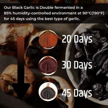 Rooted Active Naturals: Aged & Fermented Black Garlic (60 Caps, 500 mg), Cholesterol, Heart health, Blood Sugar & Liver support