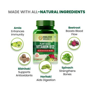 Vlado's Himalayan Organics: Plant Based Vitamin B12 Natural- 120 Veg Capsules