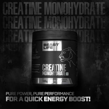Beastlife: Super Micronized Creatine Monohydrate 100g