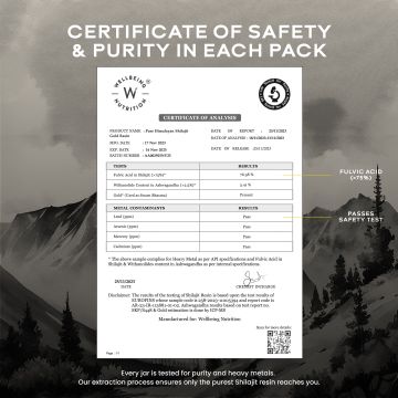 Wellbeing Nutrition: Pure Himalayan Shilajit Gold 10 gm for Strength, Stamina, Performance, Stress Relief and Vitality (24K Gold Leaf) | Lab Tested