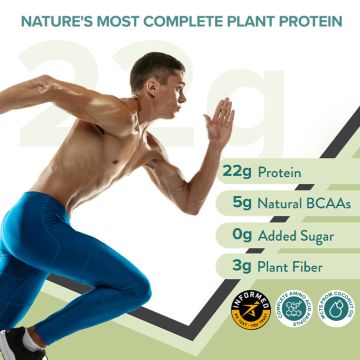 Wellbeing Nutrition: Organic Vegan Plant Protein Isolate - Italian Cafe Mocha - 500gm