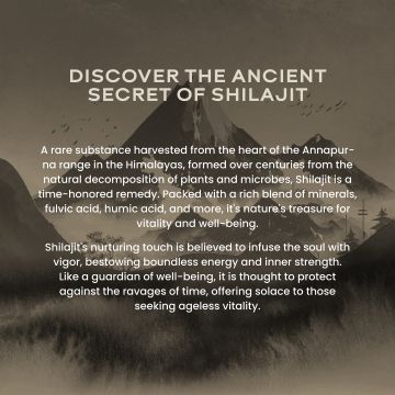 Wellbeing Nutrition: Pure & Original Himalayan Shilajit Resin 20g
