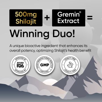 Panchamrit: 8 hrs Sustained Release Capsule 500mg Himalayan Shilajit+ with Gremin® Extract Daily Energy Boost, Faster Muscle Recovery  60 caps