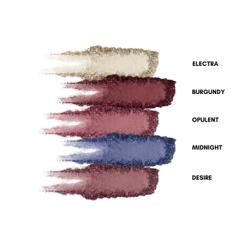 BlushBee Organic Beauty: Organic Eyeshadow Palette (5 shades) - Party Hue - 11.5 gms