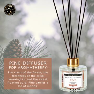 Soul & Scents: Pine Reed Diffuser 120ml