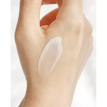 Beauty of Joseon: Dynasty Cream [Renewed Version] | 50ml